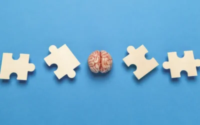 Our Latest Article Is Featured in Veja Magazine